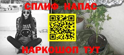 амф Дубна